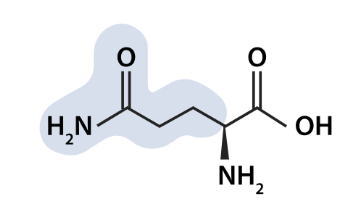<p>what aa is this</p>
