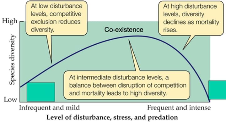 <p>caribbean and pacific were once connected allowing genetic material to move between them freely<br>however, north and south america were joined by the panama isthmus<br>caribbean suffers more storms which reduces diversity</p>