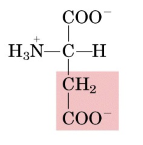 <p>What’s this aminoacid?</p>