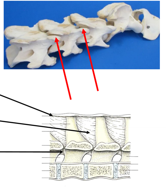 <p>Led? Beskrivning? Innehåll? Övrigt? </p>