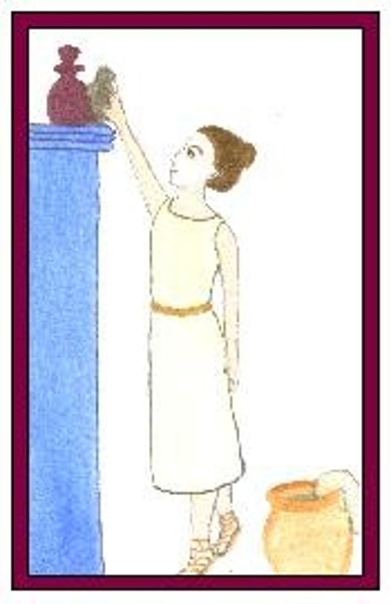 <p>slave-girl, maid</p>