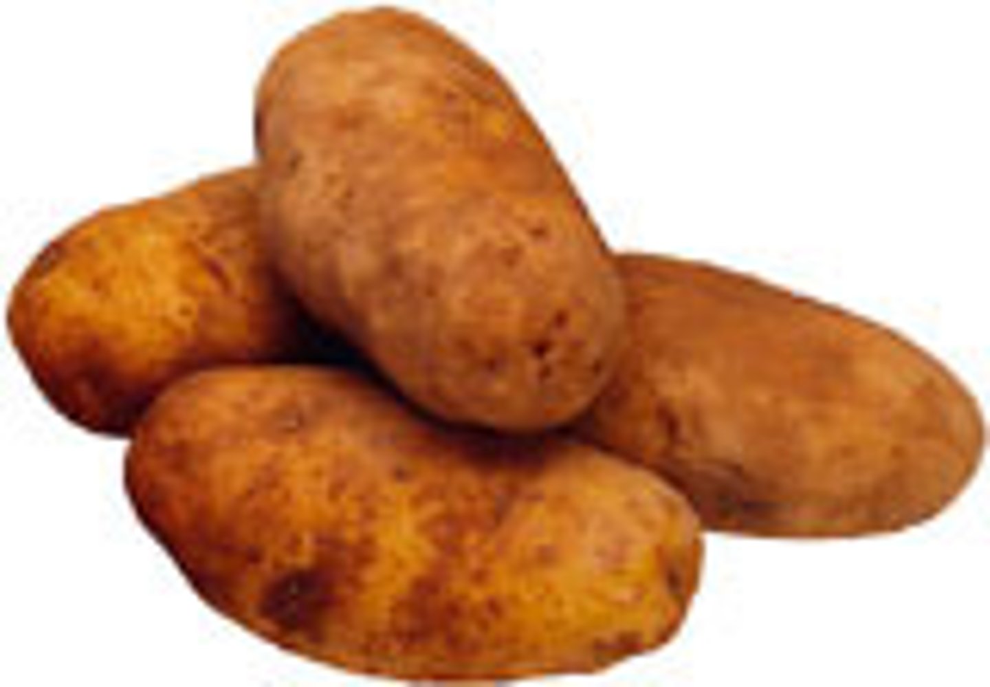 <p>the potato</p>