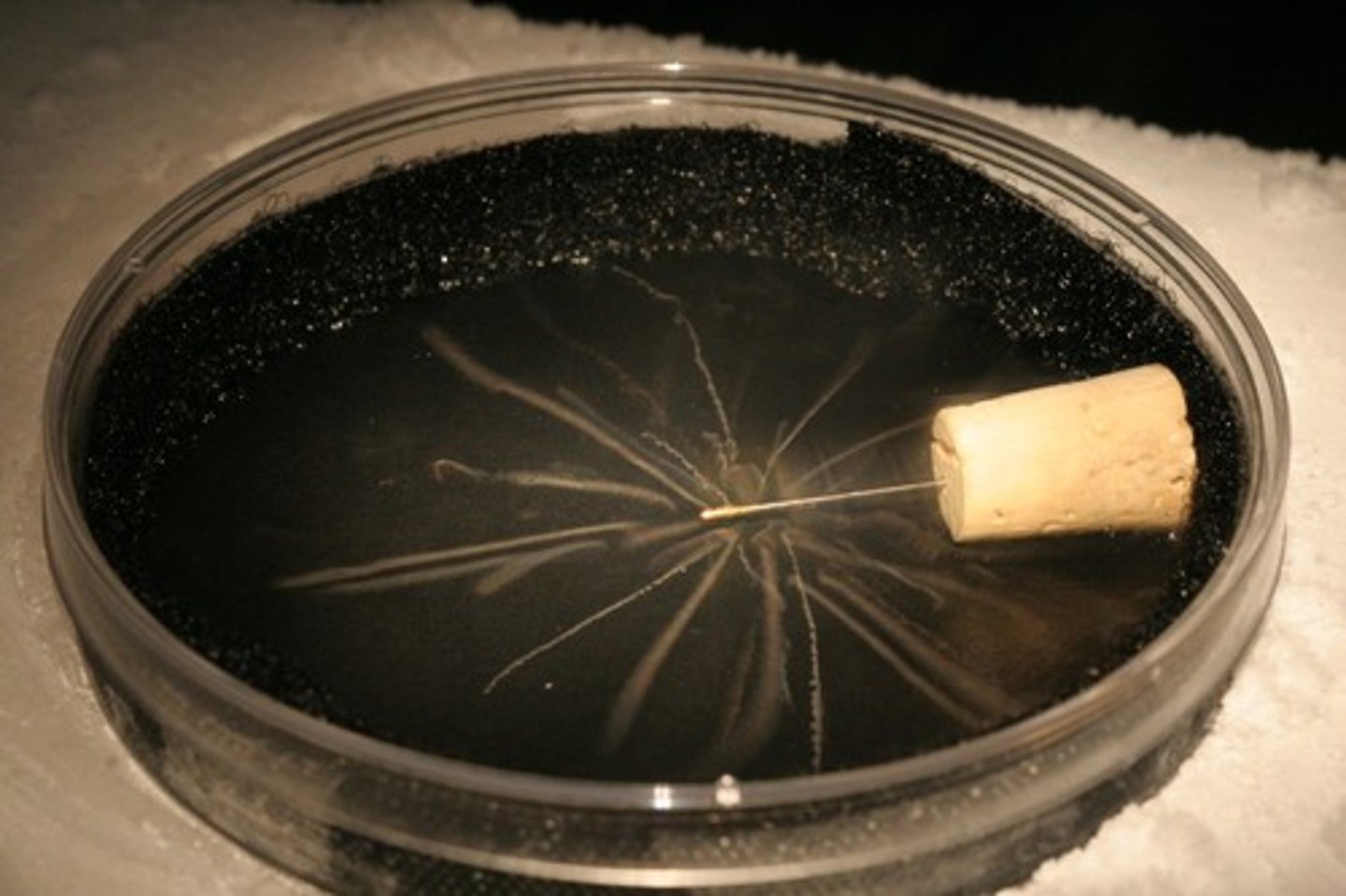 <p>In super saturated air (with ethanol), charged particles ionise the air and vapour form droplets along the line of ionisation. By shining a light on this a photograph can be taken.</p>