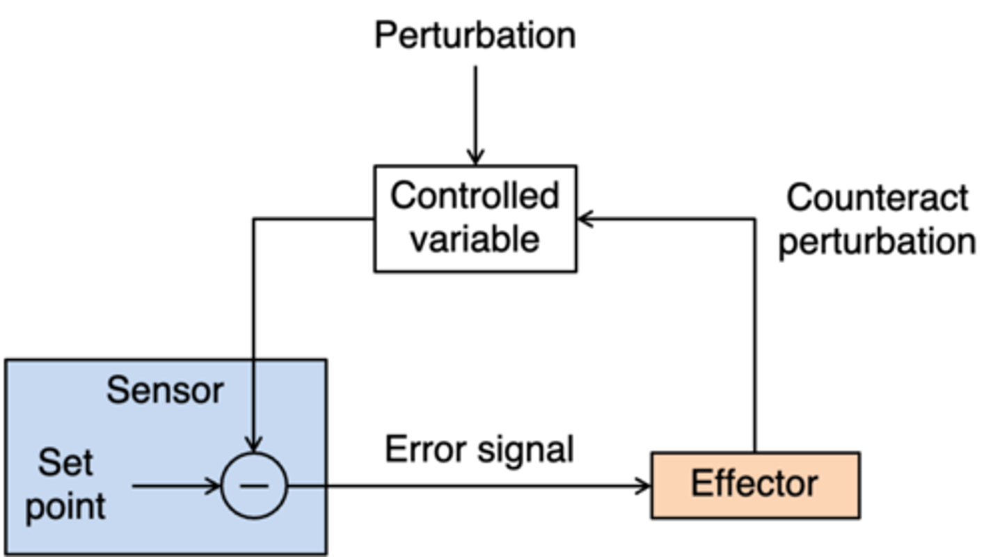 <p>What does this image represent?</p>