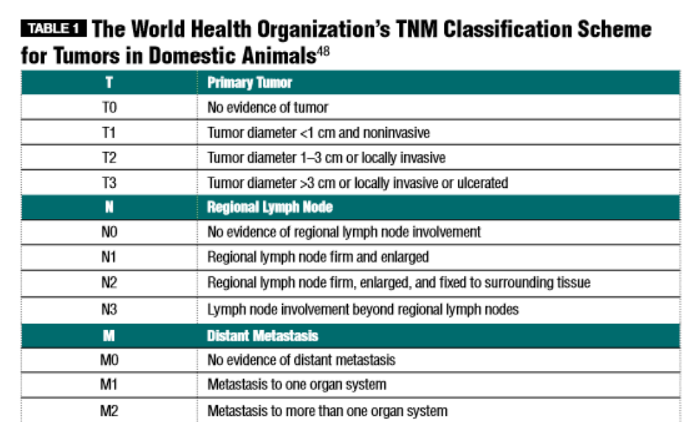 <ul><li><p>Performed after intial diagnosis to assess extent of a tumour throughtout the body</p></li><li><p>Look at size (T), regional lymph node involvement (N), distant metastasis (M)</p></li></ul>