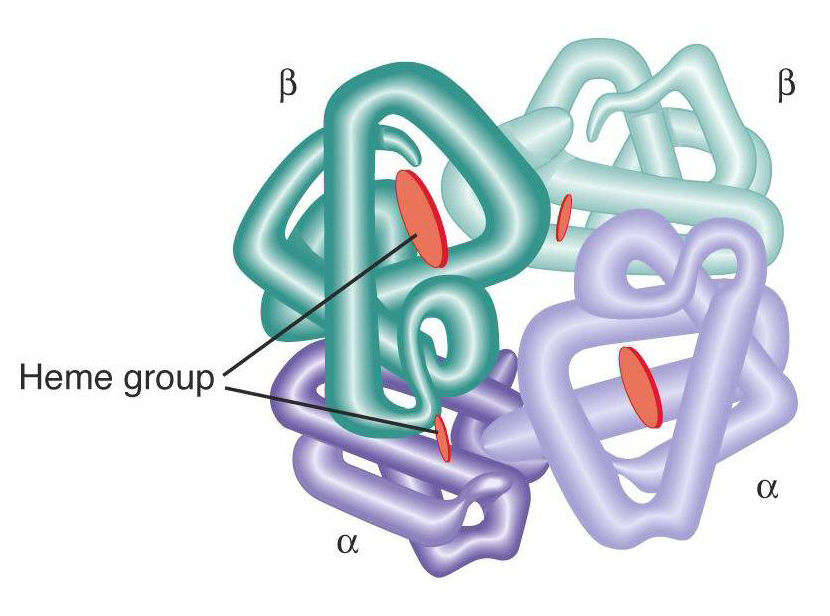 <p>identify </p>
