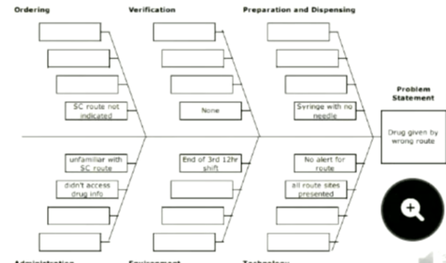 <p>B. Fishbone Diagram</p>