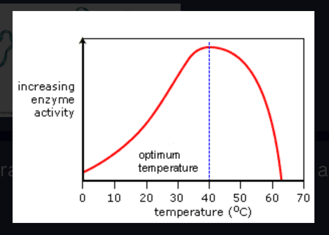 <p>The temperature at which an enzyme is most active</p>