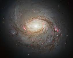 <ul><li><p>twin spirals</p></li><li><p>77% of galaxies</p></li><li><p>pinwheel shape</p></li><li><p>young stars, bright stars, has and dust may be in the arms</p></li><li><p>more budlge than disc: A</p></li><li><p>more disc than budlge: C</p></li></ul><p></p>