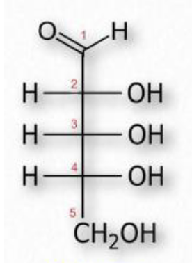 <p>Is this:<br>a. Ribose<br>b. Glucose<br>c. Fructose<br>d. Galactose<br>e. Mannose </p>