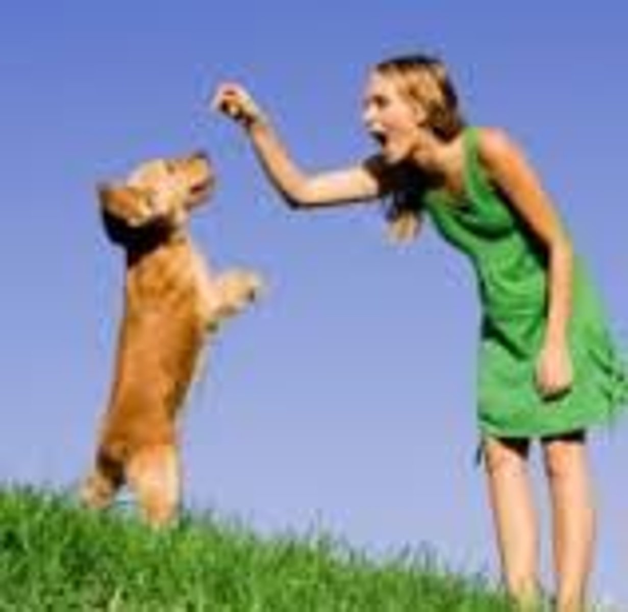 <p>to pay attention to/to obey (someone)</p>