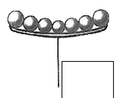 <p>peduncle w/ flowers attached directly to a broad receptacle (ray &amp; disk flowers)</p>