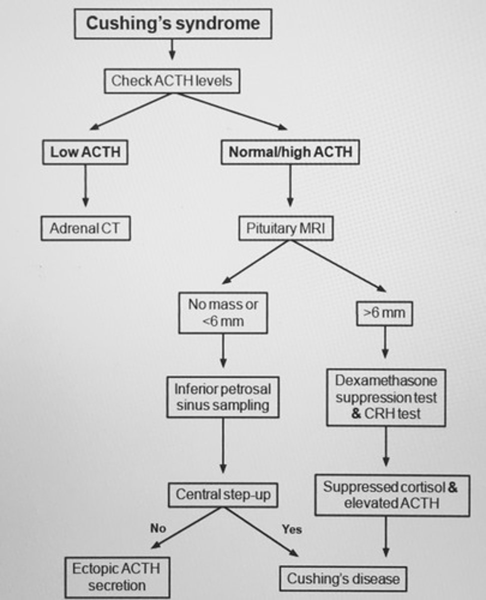 <p>Cushing's syndrome: HTN, metabolic alkalosis, hyperglycemia, hypokalemia, proximal muscle weakness</p>