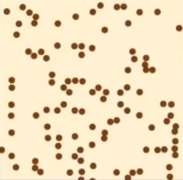 <p>random population distribution</p>