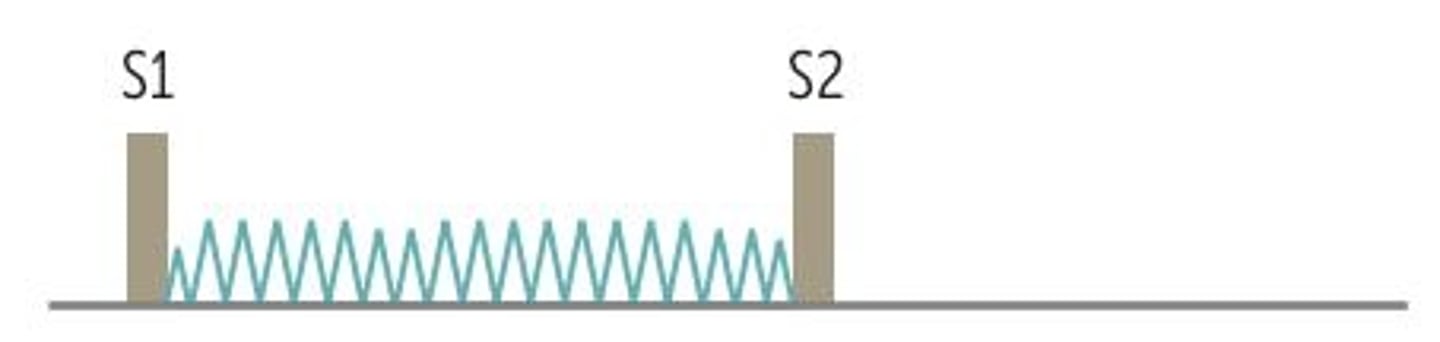 <p>- Systolic</p><p>- @ apex</p><p>- holosystolic murmur</p><p>- Radiates → Left Axilla</p><p>- diastolic rumble</p><p>- Opening snap</p><p>- loud S1</p><p>Louder—squatting</p>