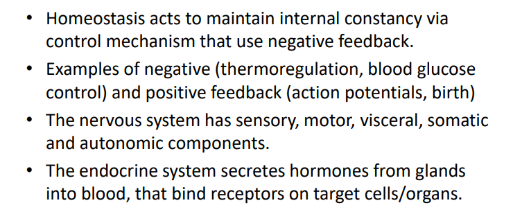 <p>SUMMARY</p>