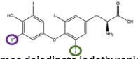 <p>When we say that enzymes are usually stereospecific, what does this mean?</p>