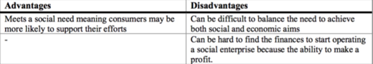 <p>A revenue generating business with primarily social objectives whose profits are reinvested for those objectives, rather than being driven by the need to deliver profit to shareholders and owners</p>