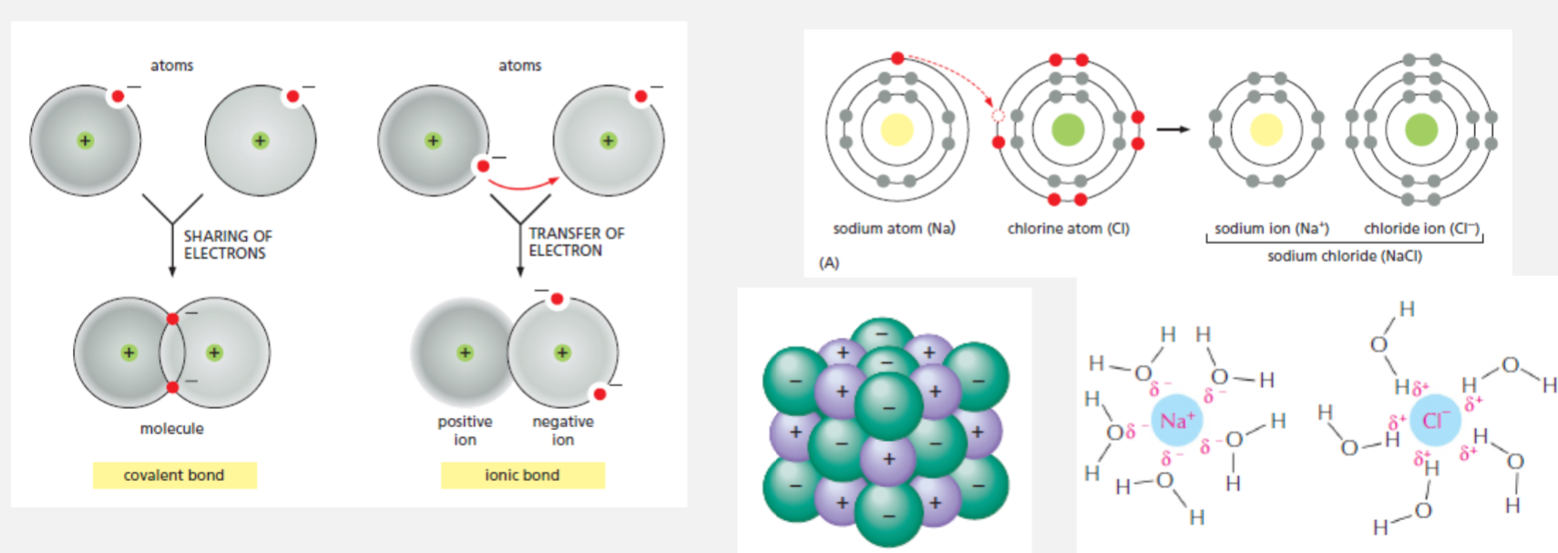 <ul><li><p>Ionic bonds normally form between atoms that have a big difference in their electronegativities</p></li><li><p>No directionality -&nbsp;the attraction is purely electrostatic: any positive ion is attracted equally to any nearby negative ion, regardless of angle or orientation</p></li></ul><p></p>