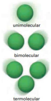 <p>Three reactant molecules will collide. <br>Very rare - highly unlikely that three molecules will collide at the same time with sufficient energy and corrwect orientation to react</p>