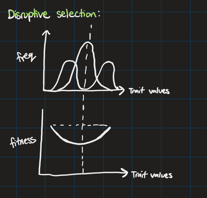 <ul><li><p>mean doesn’t change</p></li><li><p>variance INCREASES</p></li></ul>