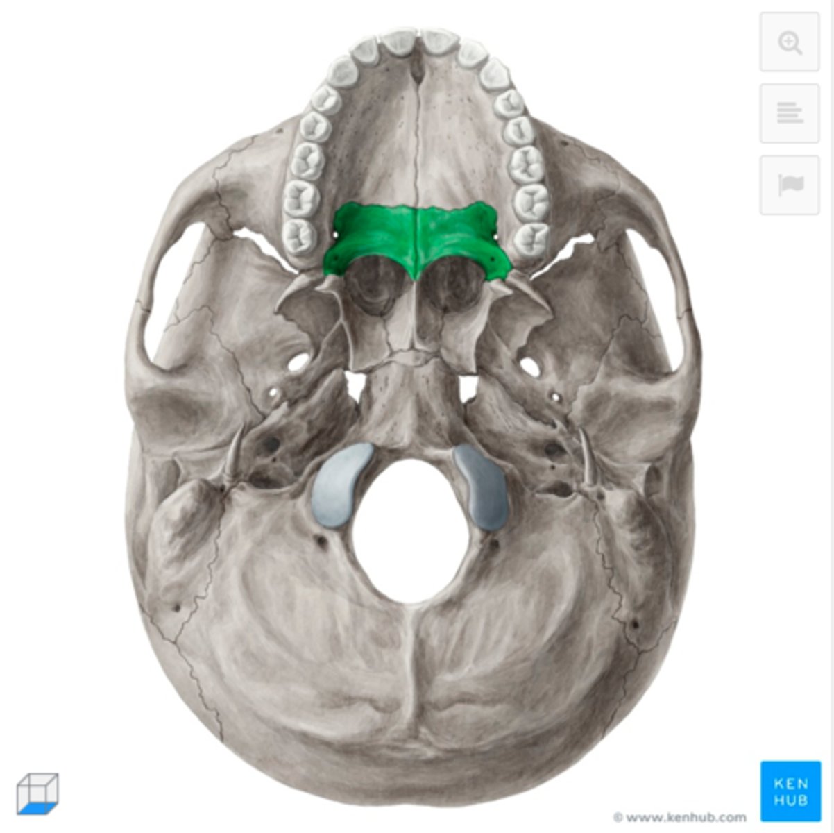 knowt flashcard image