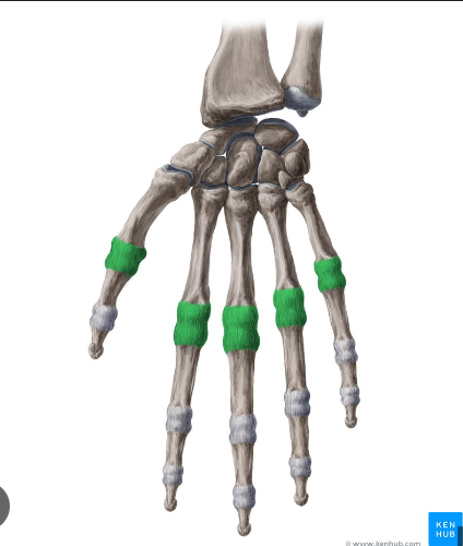<p>What are these joints called?</p>