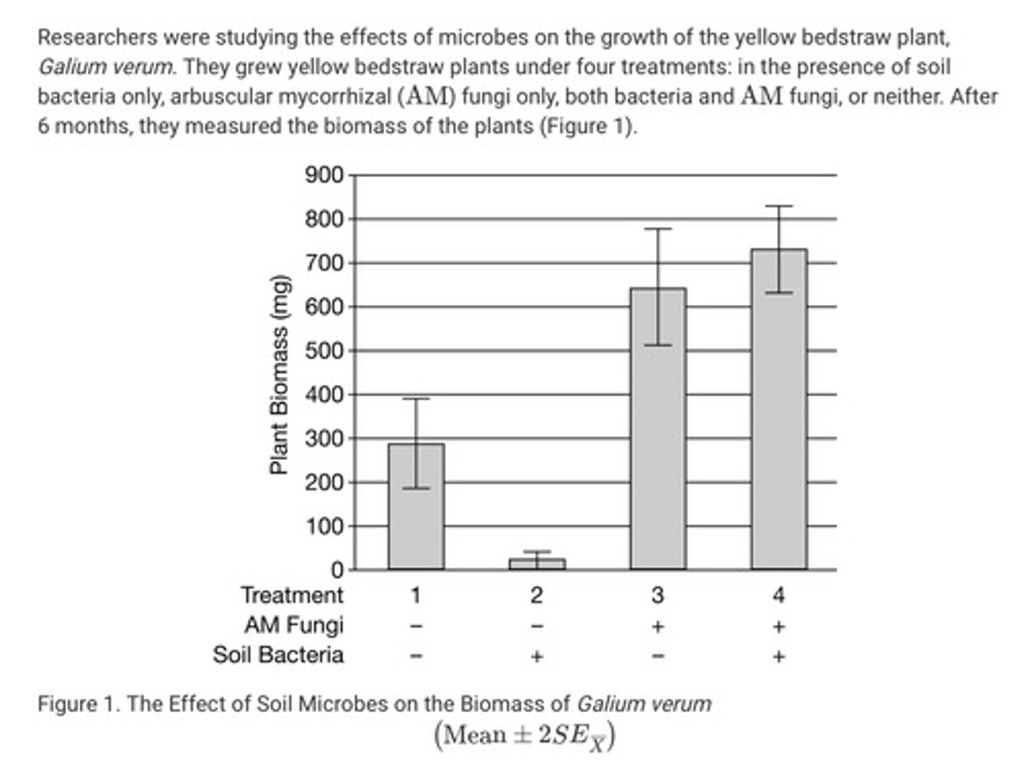 <p>Question in the attached image.</p><p>A. Yellow bedstraw plants grow significantly more in the presence of both soil bacteria and AM fungi (treatment 4) than in the presence of soil bacteria alone (treatment 2).</p><p>B. Yellow bedstraw plants, in the presence of AM fungi (treatment 3), grow significantly more if soil bacteria (treatment 4) are also present.</p><p>C. Yellow bedstraw plants grow significantly more when soil bacteria (treatment 2) are present compared to when there are no soil bacteria (treatment 1).</p><p>D. Yellow bedstraw plants grown in soil without bacteria and AM fungi (treatment 1) grow significantly more than when only AM fungi is present in the soil (treatment 3).</p>