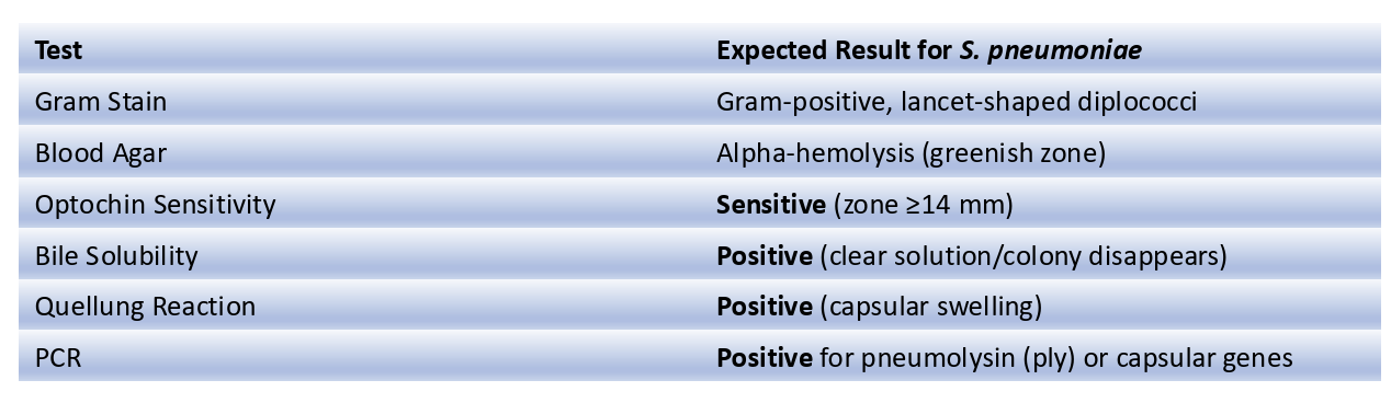 <p>Collect Clinical Sample</p><p>Gram Stain Examination</p><p>Culture on Blood Agar (hemolysis)</p><p>Optochin Sensitivity Test + Bile Solubility Test (if optochin less than 14mm)</p><p>Antigen (quelling reaction= <strong>Gold standard</strong>) &amp; Molecular Testing (PCR for pneumolysin/capsular genes)</p>
