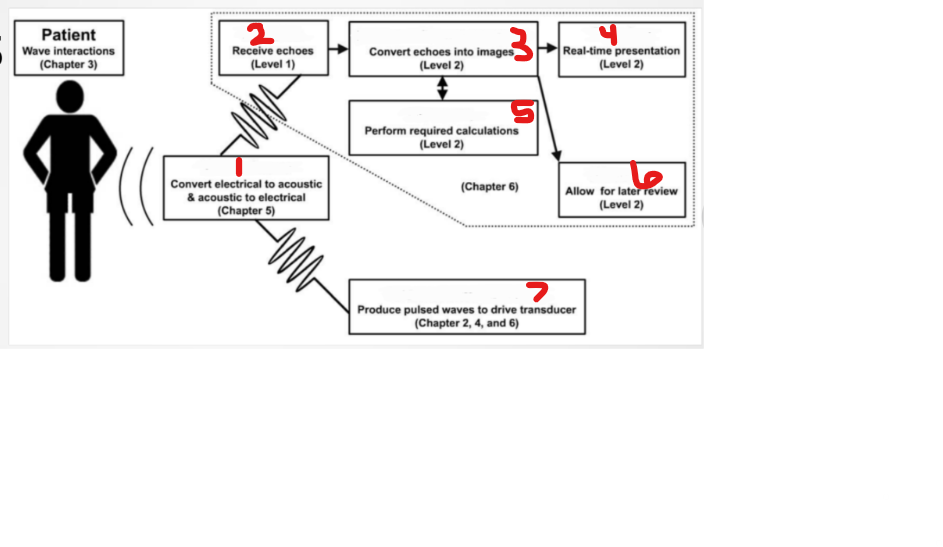 <p>what is #2 labeled? </p>