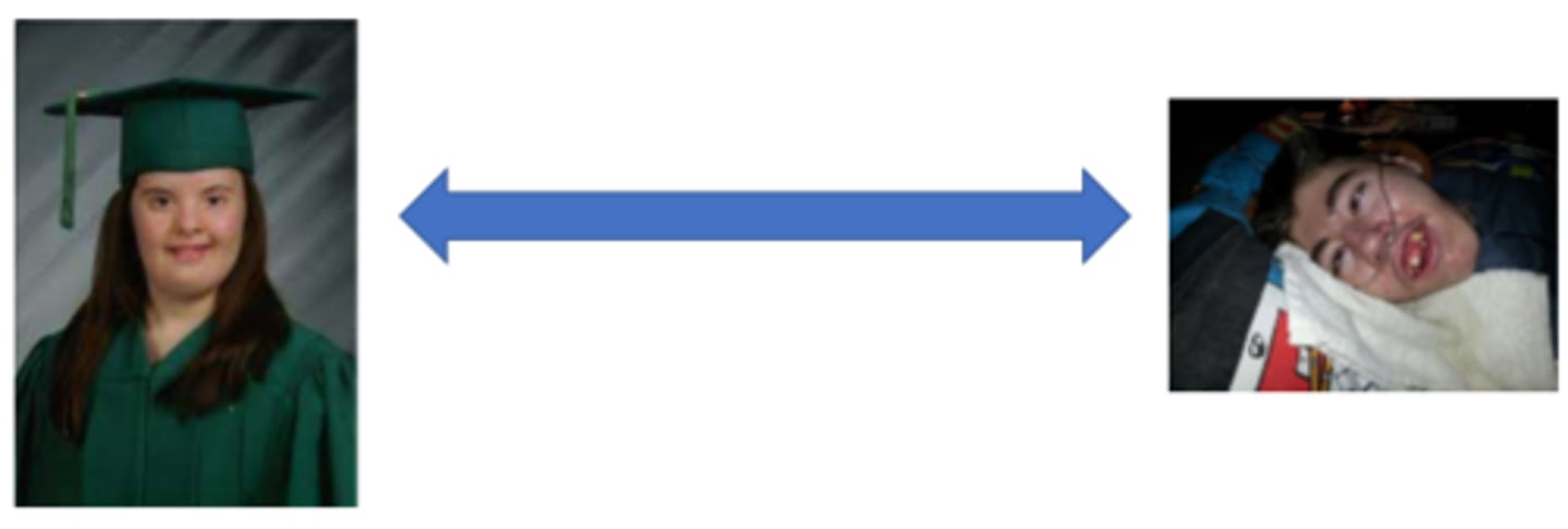 <p>PT goals can encompass a wide range of skills from expectations of typical development at a slower pace to physical support for posture and mobility (AD use)</p>