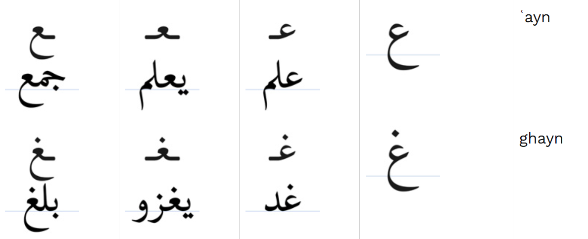 knowt flashcard image