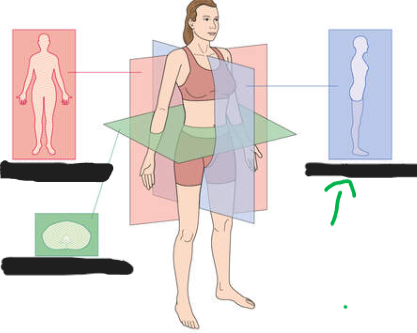 <p>Welk vlak is het blauwe vlak? </p>