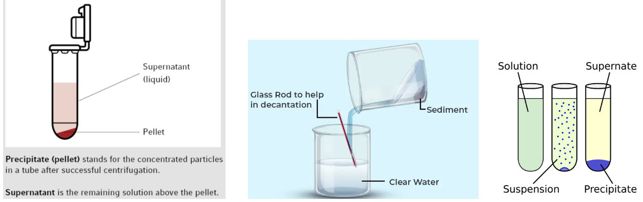 <p><span><strong><span>Where you dispose of the supernantent that you decanted in the copper cycle lab</span></strong></span></p><ul data-type="taskList"><li data-checked="false" data-type="taskItem"><label><input type="checkbox"><span></span></label><div><p>Glass Waste</p></div></li><li data-checked="false" data-type="taskItem"><label><input type="checkbox"><span></span></label><div><p>Solid Chemical Waste</p></div></li><li data-checked="false" data-type="taskItem"><label><input type="checkbox"><span></span></label><div><p>Liquid Chemical Waste</p></div></li><li data-checked="false" data-type="taskItem"><label><input type="checkbox"><span></span></label><div><p>Trash Can</p></div></li><li data-checked="false" data-type="taskItem"><label><input type="checkbox"><span></span></label><div><p>Sink</p></div></li><li data-checked="false" data-type="taskItem"><label><input type="checkbox"><span></span></label><div><p>50 mL Beaker</p></div></li><li data-checked="false" data-type="taskItem"><label><input type="checkbox"><span></span></label><div><p>50 mL Graduated Cylinder</p></div></li><li data-checked="false" data-type="taskItem"><label><input type="checkbox"><span></span></label><div><p>10 mL Graduated Pipet</p></div></li><li data-checked="false" data-type="taskItem"><label><input type="checkbox"><span></span></label><div><p>10 mL Graduated Cylinder</p></div></li><li data-checked="false" data-type="taskItem"><label><input type="checkbox"><span></span></label><div><p>50 mL Volumetric Flask</p></div></li></ul><p></p>