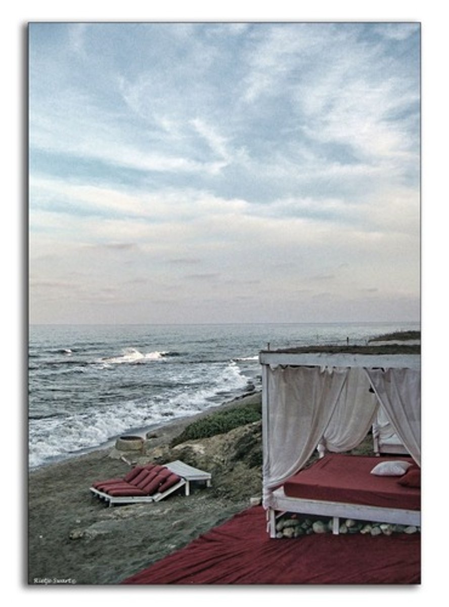 <p>the bed</p>