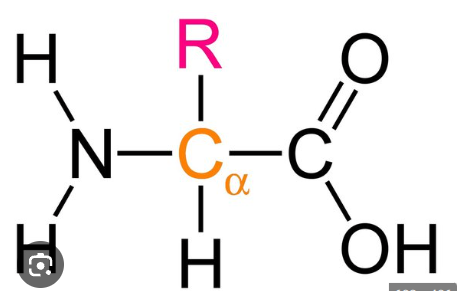<p>this is the general formula for what? </p>