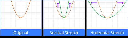 <p>Growing slower= vertical compression= grows more wide</p>