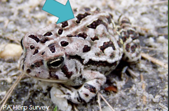 <p>What is this?</p>