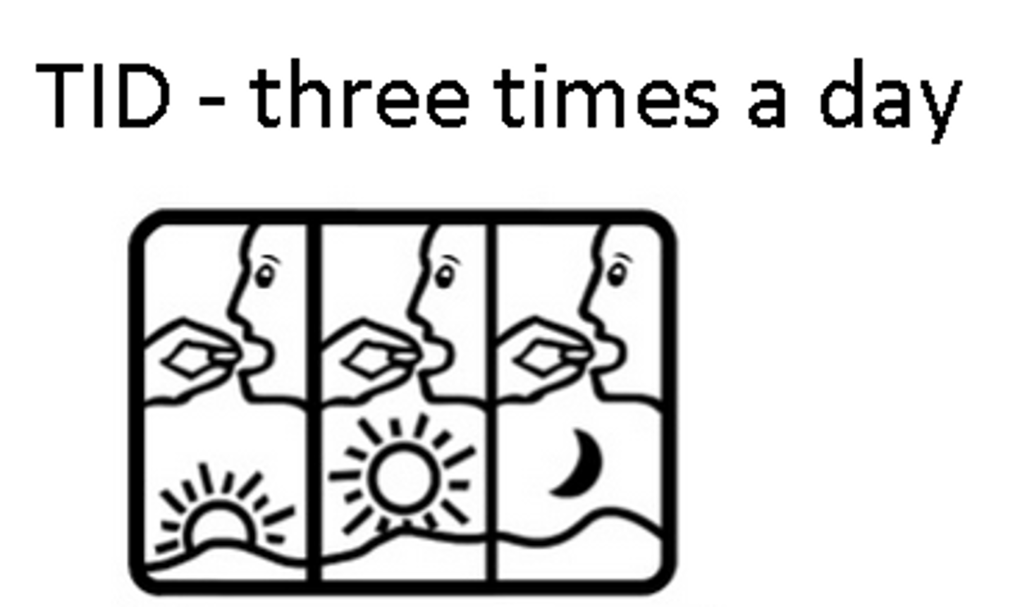<p>three times a day (every 8 hours);</p>