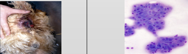 <p>What is this?</p><p>Features?</p>