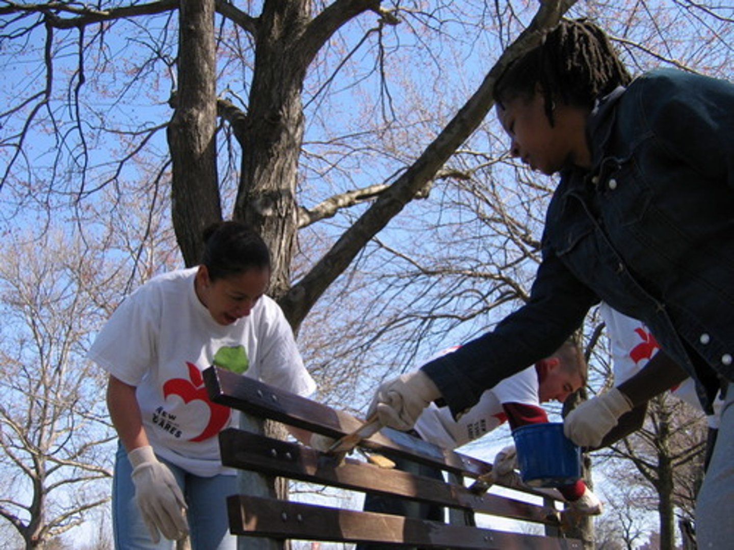 <p>cộng đồng</p>