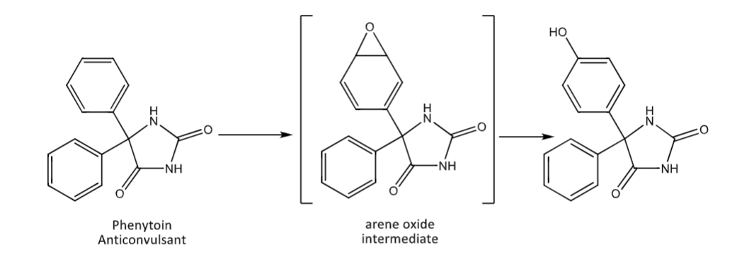 <p>CYP enzyme mediated</p><p>usually at the para position</p>
