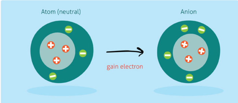 <p>Molecules are formed by the sharing of electrons between nonmetals. </p>