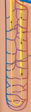 <p>what is this?</p>