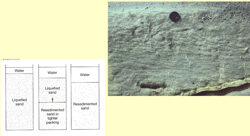 <p>Very concentrated dispersions of grains in a fluid. Usually result from shock of granular sediment (earthquake). Grains kept in suspension by fluid pore pressure and upward movement of expelled fluid</p>