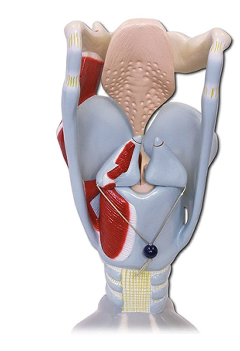 <p>What is this?</p>