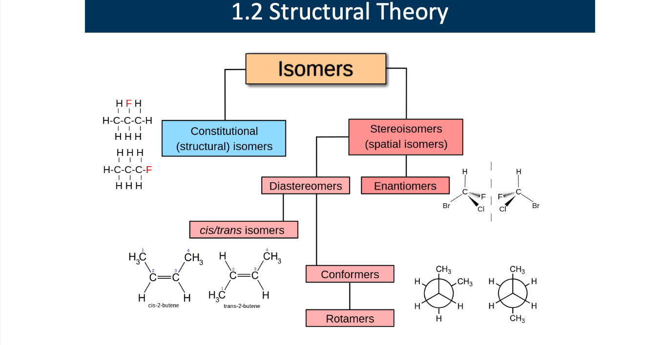 <p>Explain each role</p>