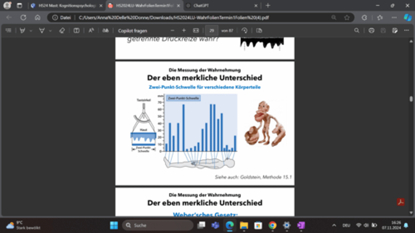 <p>Hände, Gesicht</p>