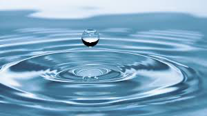 <p>Water</p>