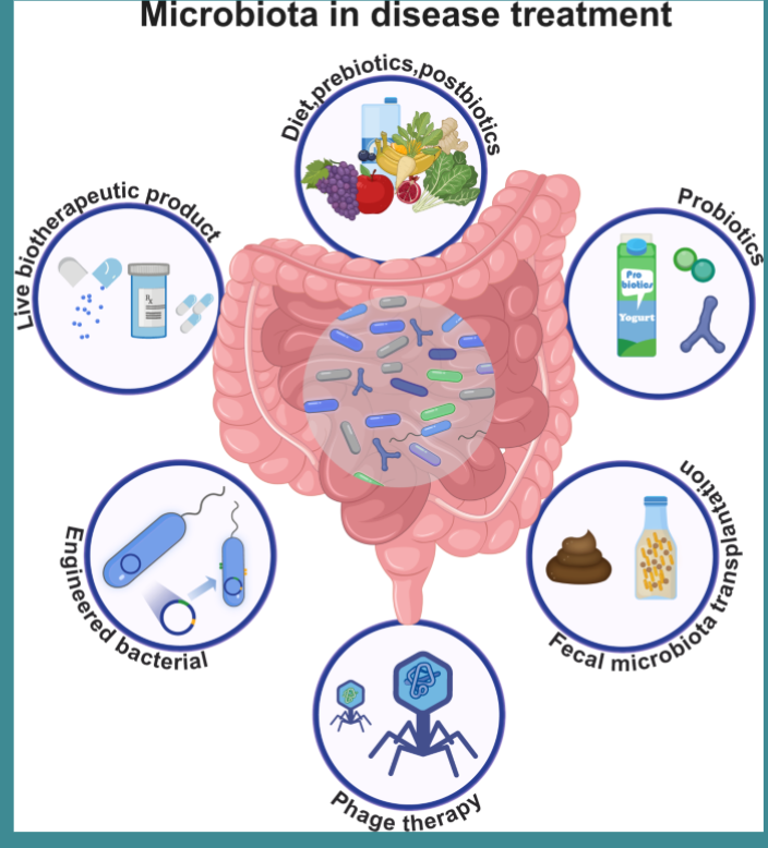 <ul><li><p>diet, prebiotics, &amp; postbiotics</p><ul><li><p>help maintain healthy microbes</p></li></ul></li><li><p>probiotics, fecal transplant (isolate microbes from one’s healthy feces and put it into pill form), engineered bacteria, &amp; biotherapeutics</p><ul><li><p>supplement with healthy microbes</p></li></ul></li></ul><p></p>